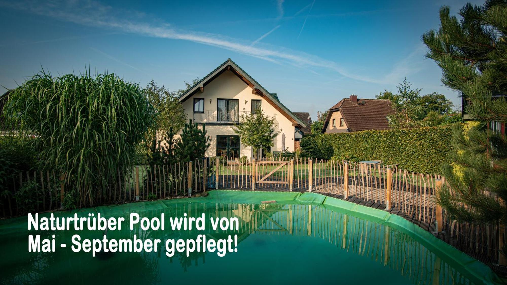 Ferienhaus Mountfrosch Mit Sauna Und Naturpool 몬샤우 외부 사진